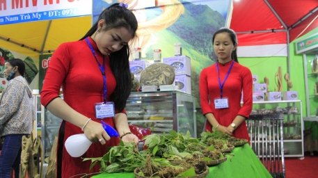 Tour tham quan Chợ Sâm Ngọc Linh Nam Trà My khởi hành từ Đà Nẵng