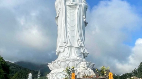 LInh ứng sơn trà