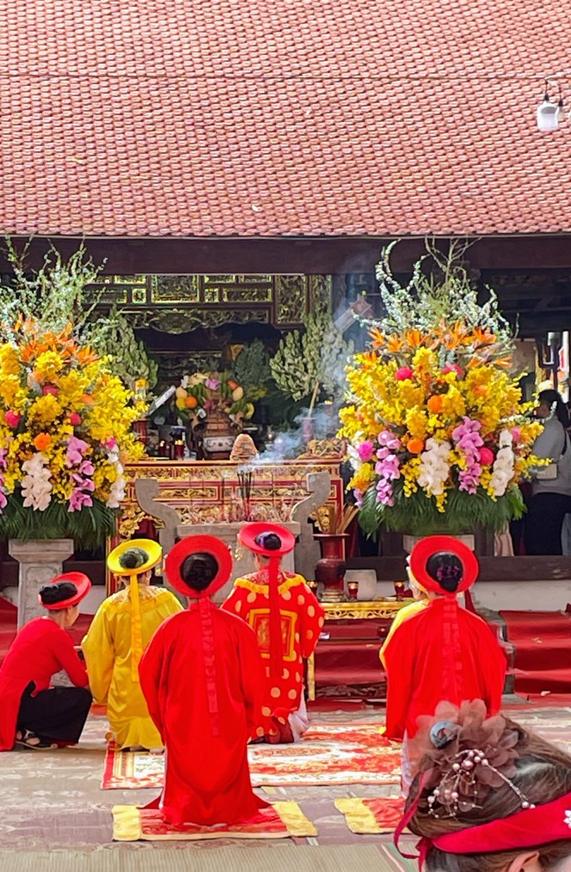 Lễ hội từ Lương Sâm