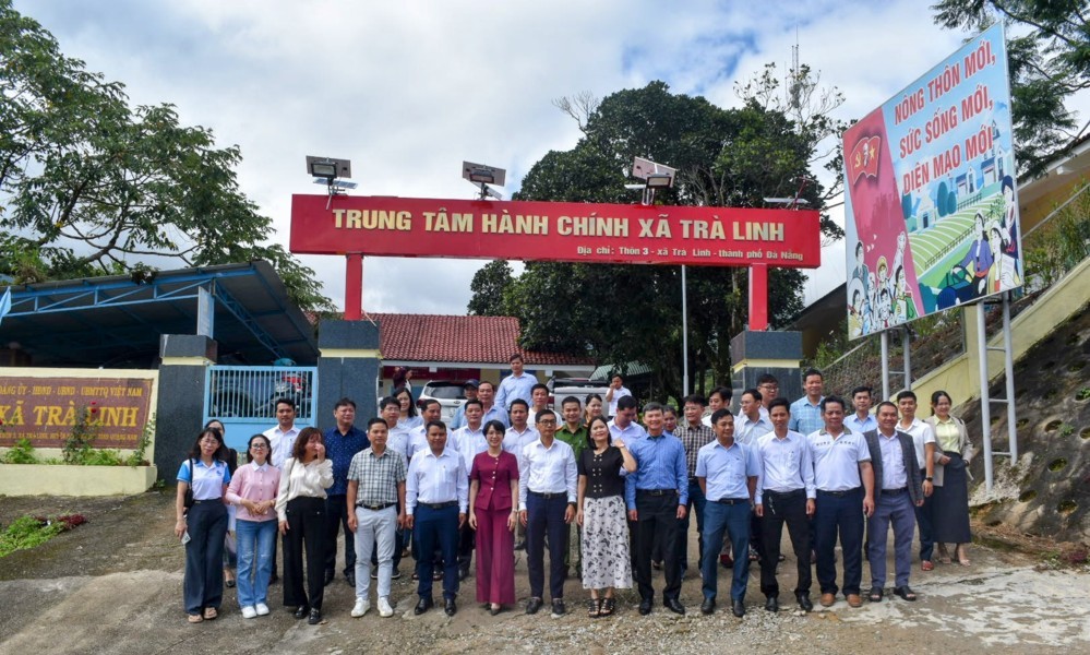 Thăm trà linh