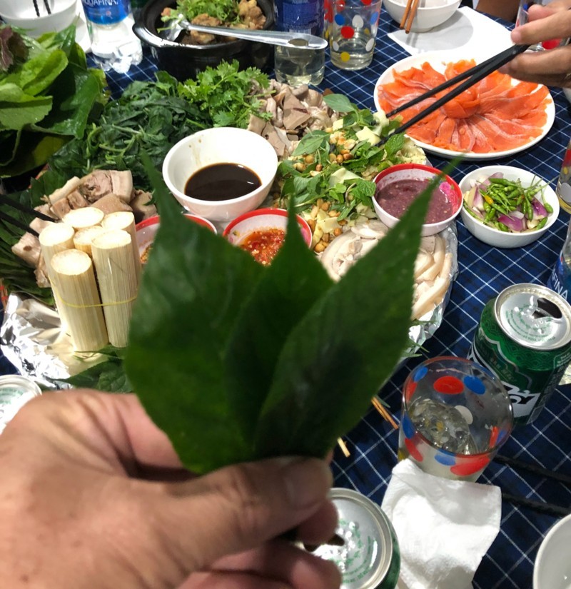 Món Lá sâm cuốn cá hồi nuôi trên đỉnh Ngọc Linh