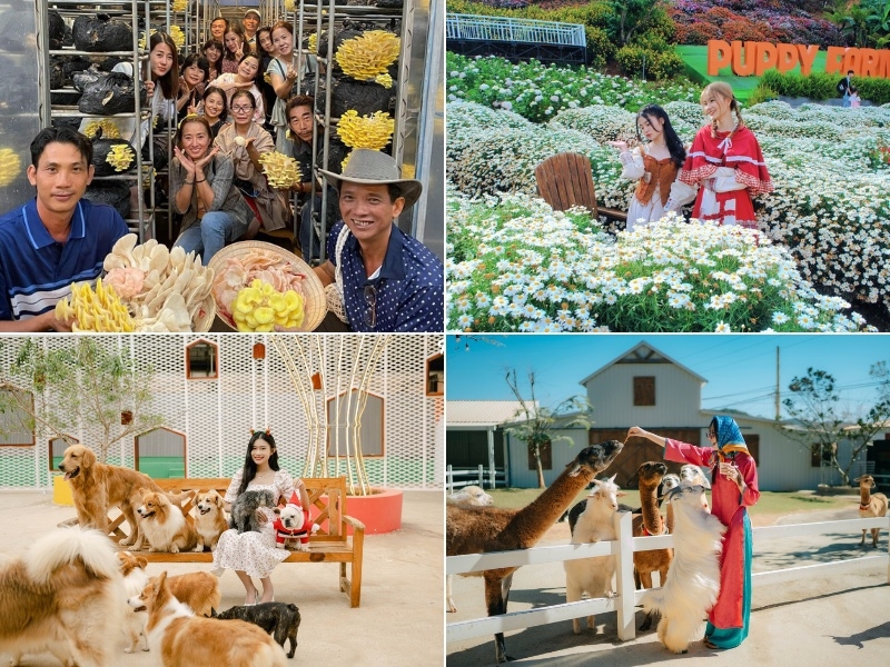 Tour Đà Lạt Phan Thiết từ Đà Nẵng