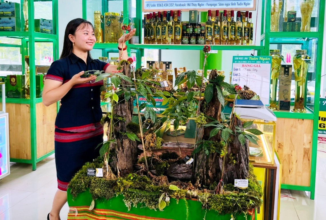 Tour tham quan Chợ Sâm Ngọc Linh Nam Trà My khởi hành từ Đà Nẵng