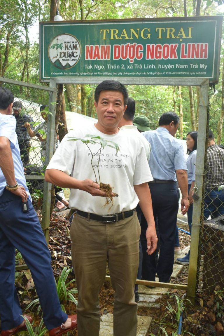 Vườn sâm Ngọc Linh
