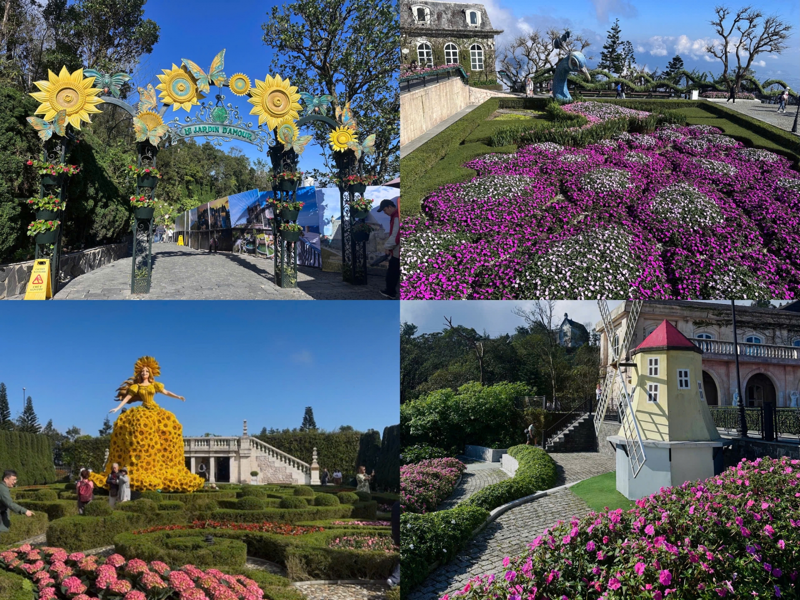 Mê mẫn với màu sắc rực rỡ tại vườn hoa Le Jardin D'Amour