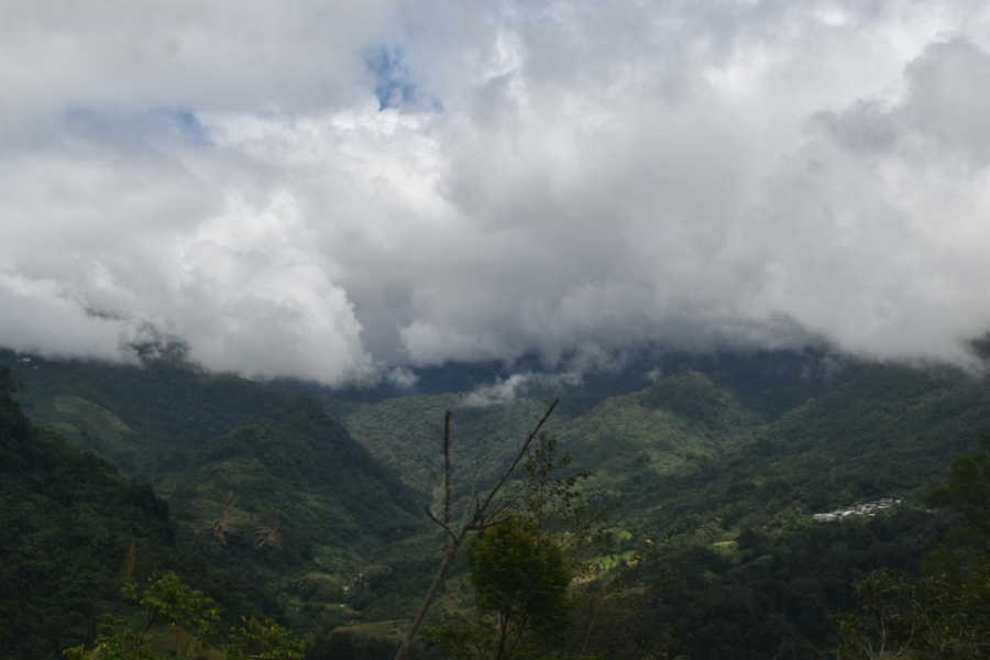 Tour Trà Linh – Khám phá Vườn Sâm Ngọc Linh cùng Du lịch Bản Địa Đà Nẵng. Trekking rừng nguyên sinh, tham quan vườn sâm gốc Xơ Đăng & trải nghiệm văn hóa cùng Du lịch Bản Địa Đà Nẵng